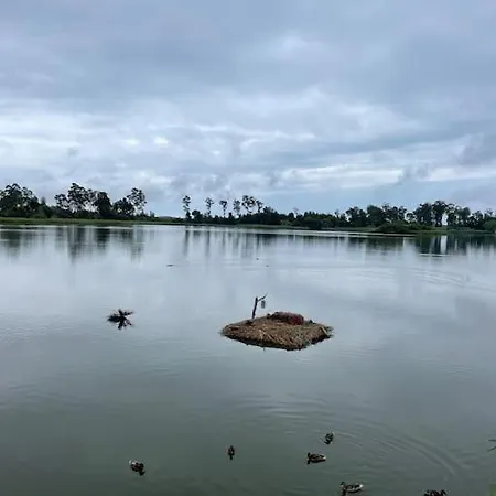 Moradia Alegre No Centro Da Da Tocha. בית נופש טושה