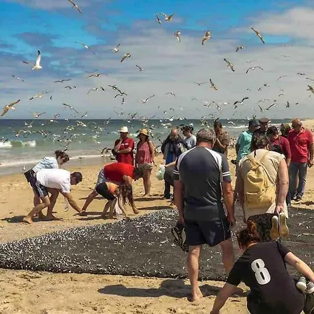 בית נופש Moradia Alegre No Centro Da Da Tocha.